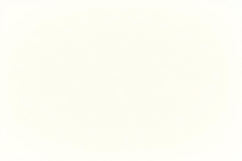 Illustrated custom wedding crest with various elements annotated